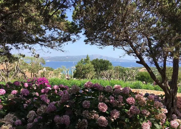 Punta Lada