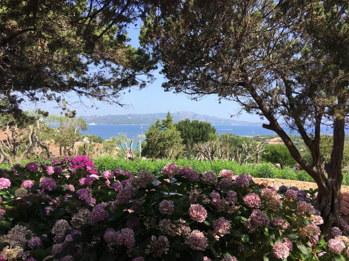 Apartment Punta Lada *
